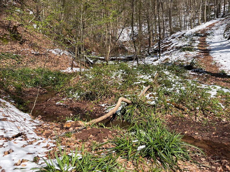 22-04-04 13-14-03 0373